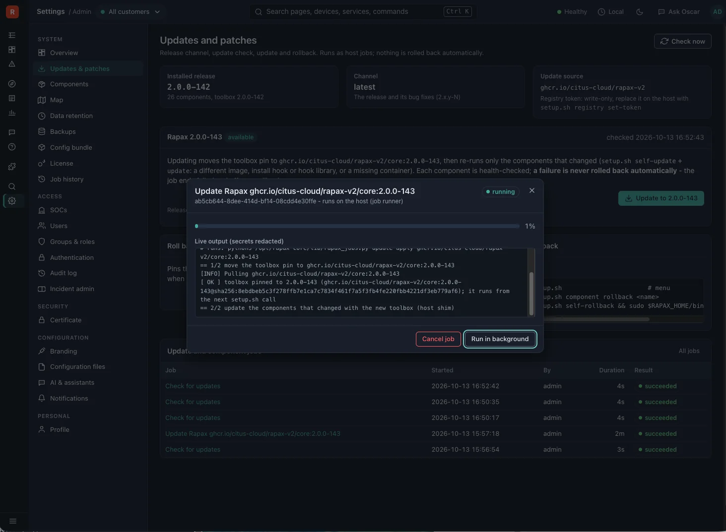 Updates and patches page running an update from the browser with live output and job history